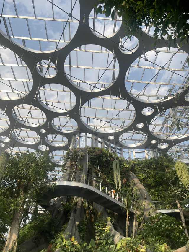 Shanghai Greenhouse Garden🌴