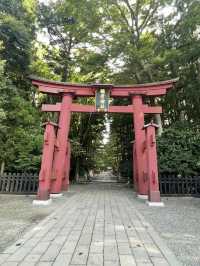 ⛩越後の心に触れる旅「彌彦神社」で静寂と神聖に包まれる時間