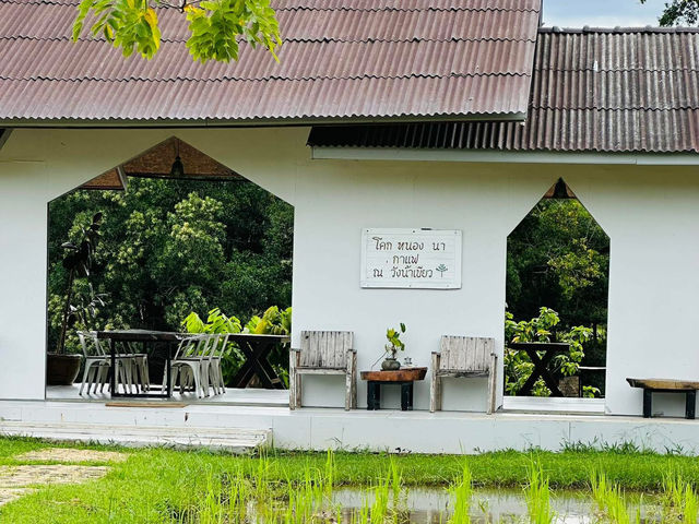 🌟โรงคั่วกาแฟวังน้ำเขียว คาเฟ่ริมน้ำกาแฟอาหารอร่อย
