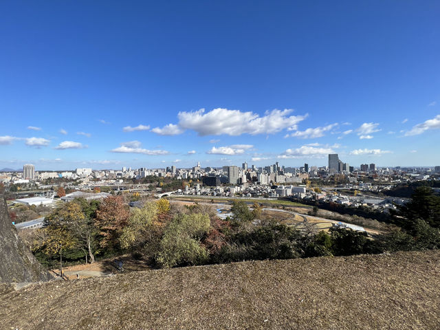 🍀 Review: Strolling Through History at Aobayama Park