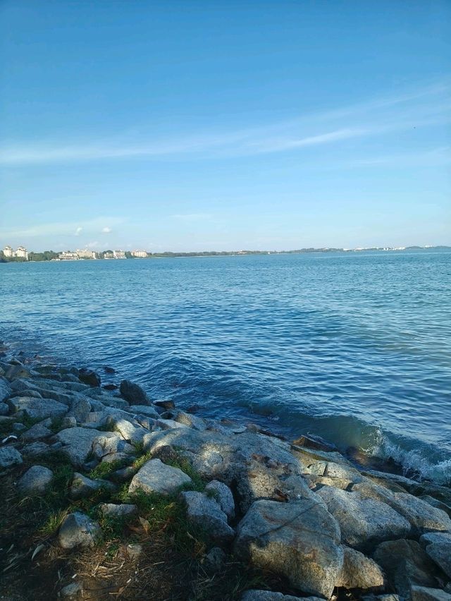 Coffee by the Coast? Say No More