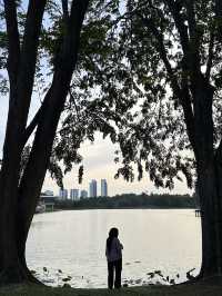 Evening Walks & Wind-Downs: My Chill Escape to Taman Tasik Cyberjaya