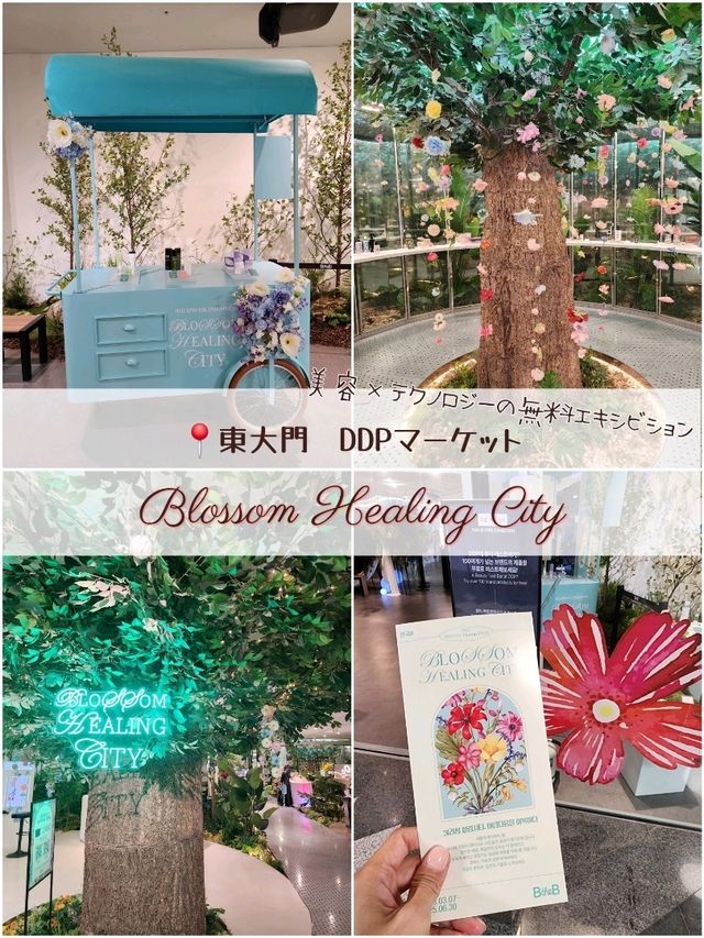 【ソウル🇰🇷東大門】美容×テクノロジーの無料エキシビション