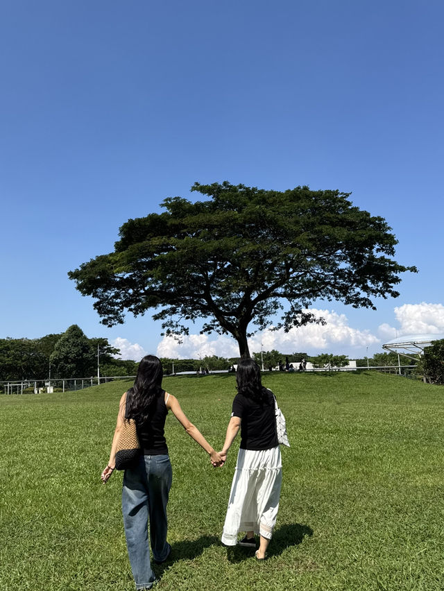 싱가포르 여행 꿀팁 🇸🇬