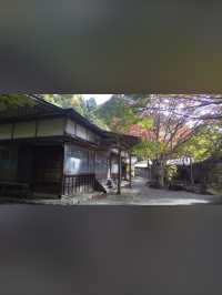 【紅葉と祈りの絶景🍂天開山泰運寺で心を整える旅】