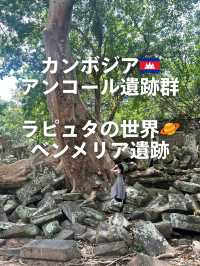 【ラピュタの世界🪐】ベンメリア遺跡で出会った崩れゆく美しさ🌿 