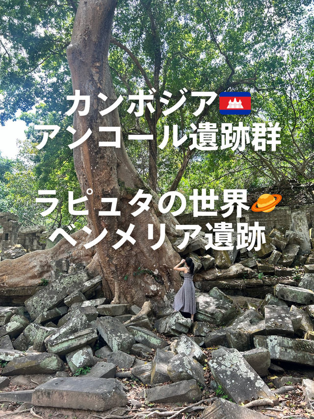 【ラピュタの世界🪐】ベンメリア遺跡で出会った崩れゆく美しさ🌿 