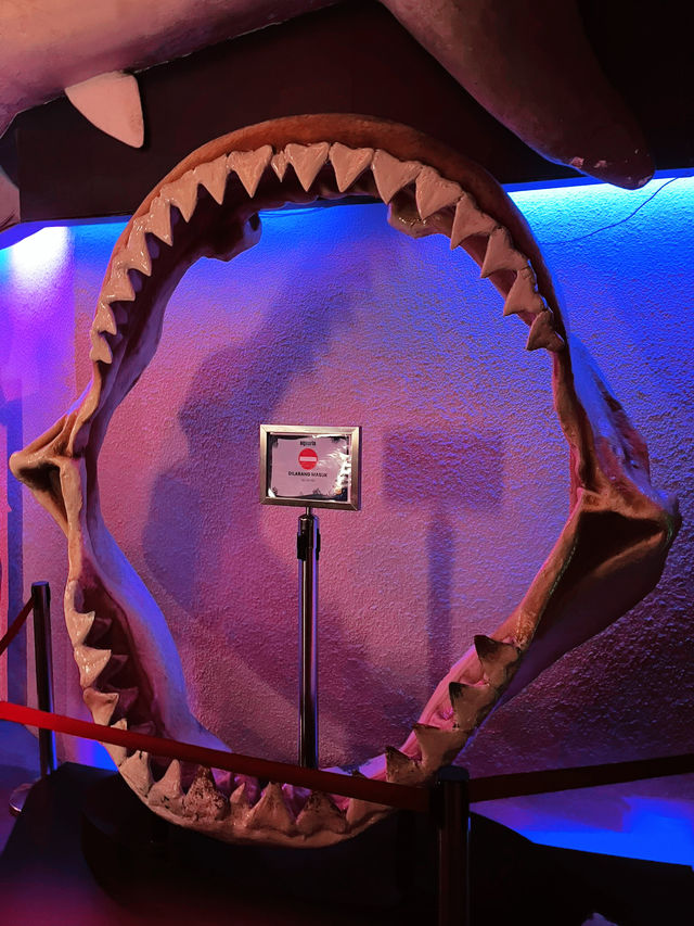 Mesmerizing Journey Through Aquaria KLCC’s Underwater Wonders