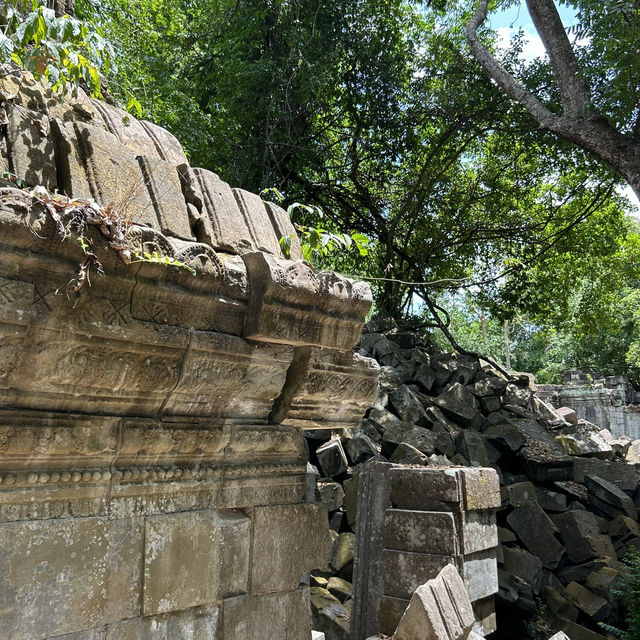 【ラピュタの世界🪐】ベンメリア遺跡で出会った崩れゆく美しさ🌿 