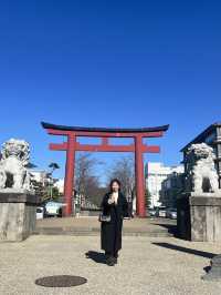 Kamakura Day Trip Guide: Temples, Trains, and Seaside Chill