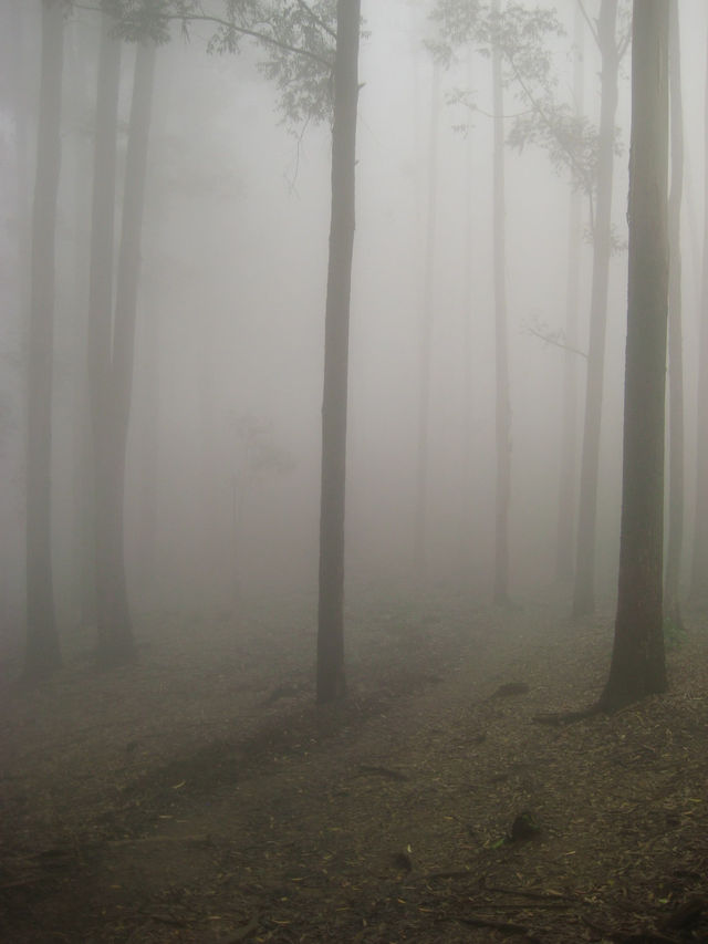 4-Day itinerary for Ella, Sri Lanka 