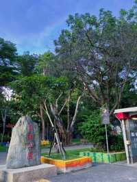 🌳桃園內壢人的秘密綠洲！自強公園散步放空好去處，綠意包圍的城市小森林