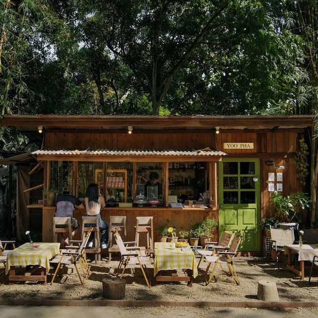 🌲 Yoo Pha – อยู่ป่า แต่ไม่โดดเดี่ยว  