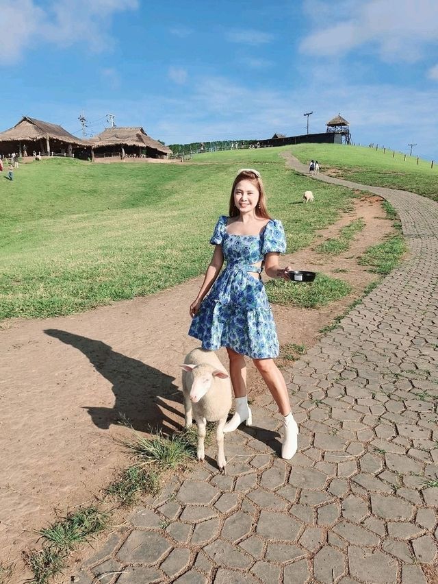 Akha FarmVille ดอยช้าง เชียงราย