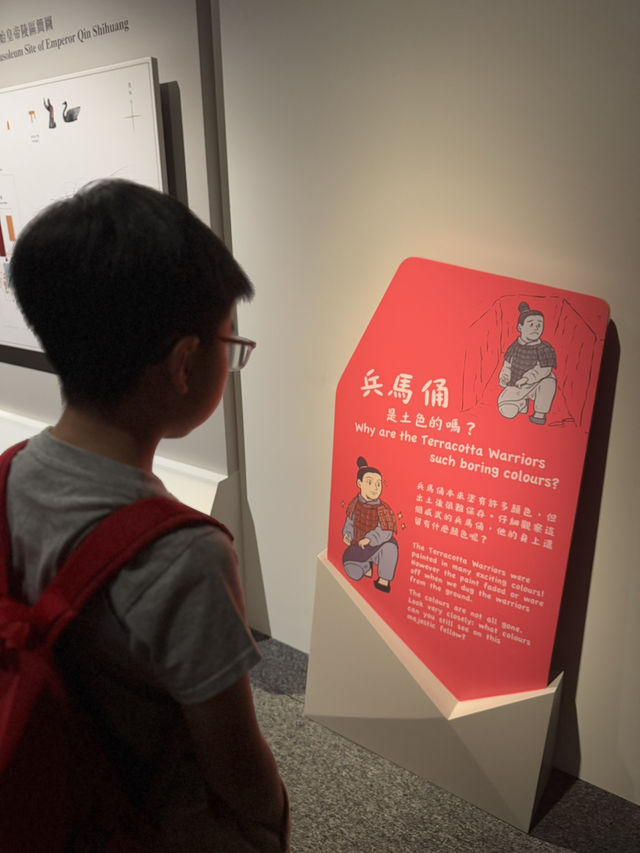 #值得睇嘅兵馬俑展覽  快去7月7號完啦！免費入場🆓