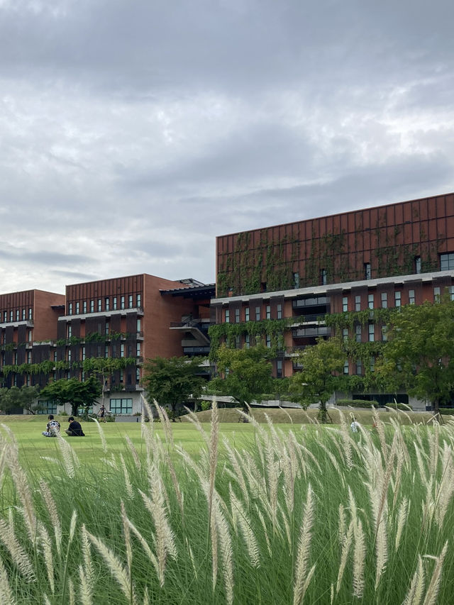 A Day at Thammasat: Nature, Calm, and Charm ✨🌿