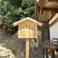 ⛩🍃 Uji Shrine – A Hidden Gem Where Time Whispers