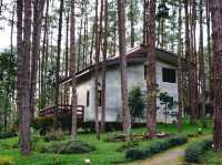 Doi Bo Luang Forest Park