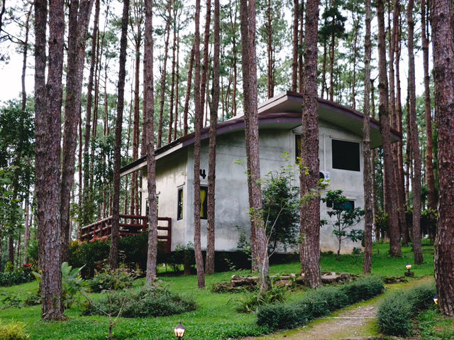 Doi Bo Luang Forest Park