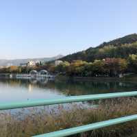 [대구 수성못공원] 백조 오리배 타고 힐링 산책, 잔잔한 호수