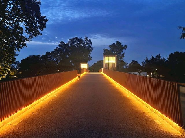 Nightscapes at Japanese Gardens