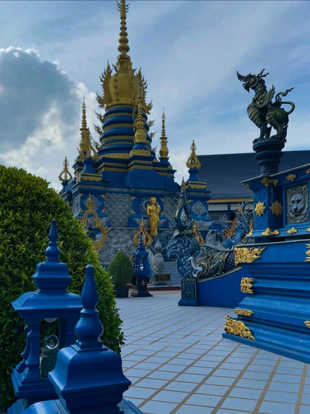 Blue, Bold & Totally Mesmerizing