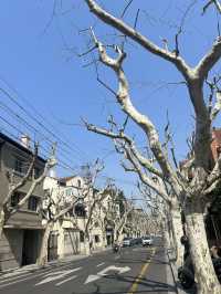 Wukang Road—Shanghai’s most charming historic avenue