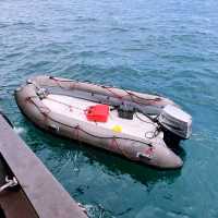 ดำน้ำลึกแสมสาร กับเรือ Great White Shark 