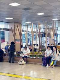 【真夏の東京　新宿バスタと新生活に最適な新宿駅サザンテラスのFrancfranc でお買い物】