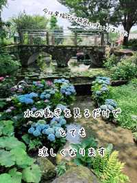 入園無料！山梨県 甲州市にあるハーブ庭園