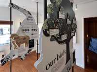 紐西蘭超讚景點—🏛 Cornwall Park Museum｜從歷史小屋到城市綠洲的時光之旅