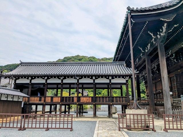 京都 | 淨土宗總本山知恩院，有著文化底蘊的古老佛寺