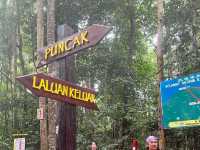 🏞 Gunung Lambak: Conquered the Jungle Beast!