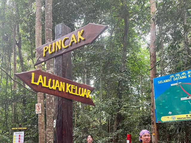🏞 Gunung Lambak: Conquered the Jungle Beast!