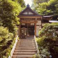 🌿 Solo Escape: Nakai-machi – Kanagawa’s Hidden Mountain Gem
