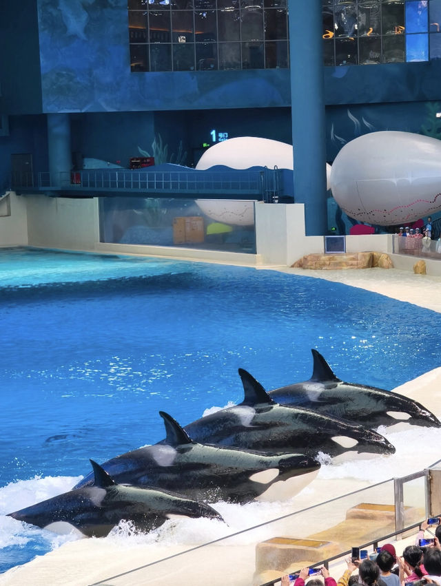 長隆飛船樂園
