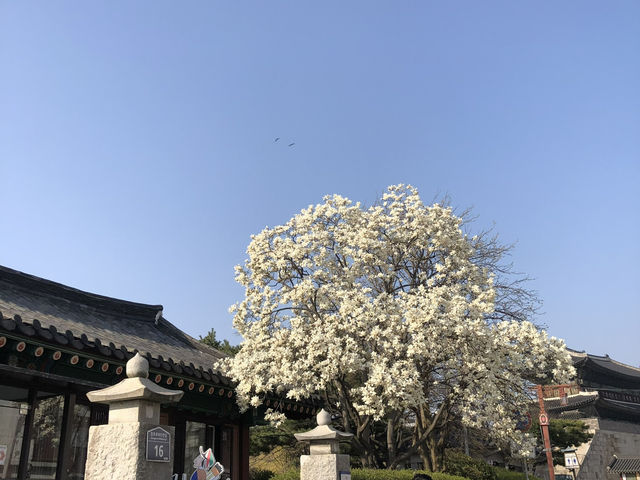 Haenggung-dong (행궁동)