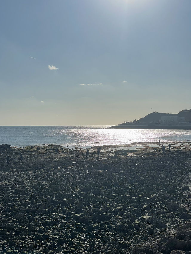 大連 — 山海之城，浪漫之都