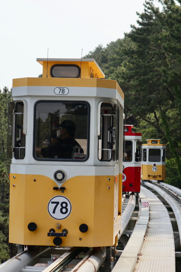Coastal calm on Busan’s Blue Line Park 🌊🚆