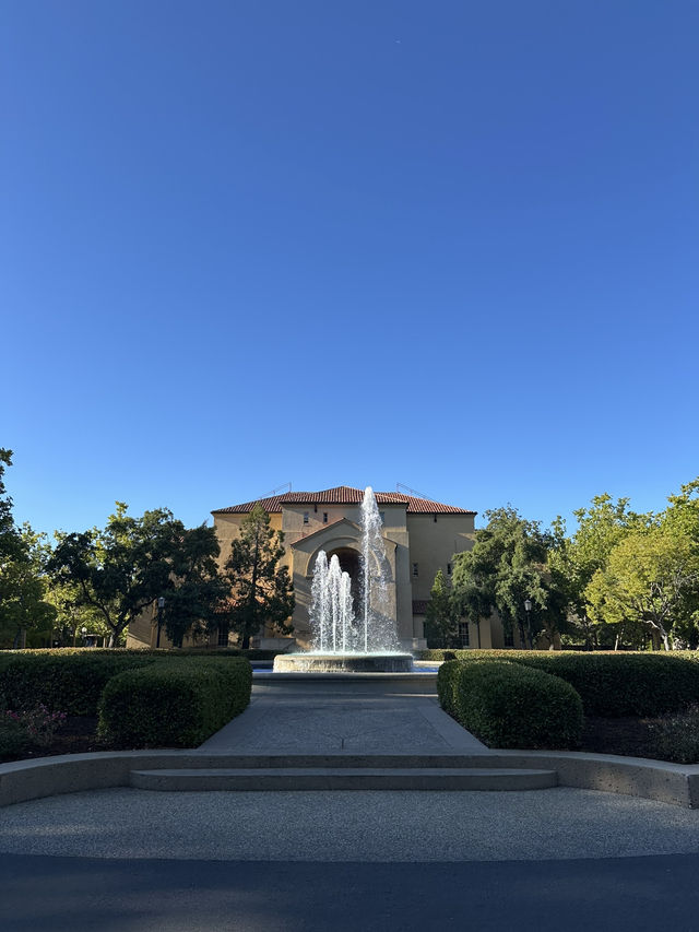 Stanford大學校園參觀 | 矽谷頂尖學府朝聖之旅 🎓