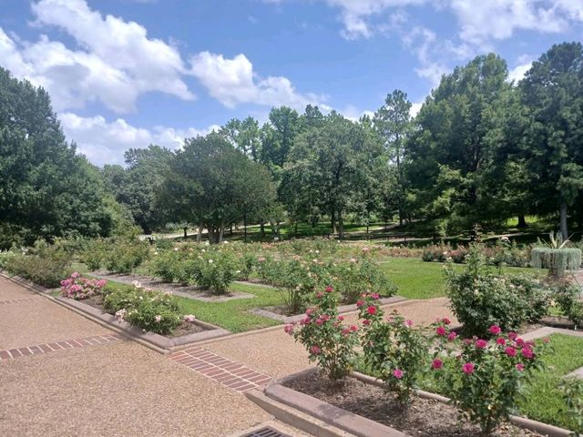 Tyler Rose Garden – Tyler
