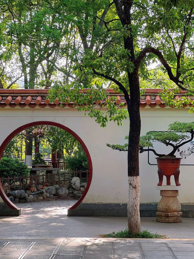 Kunming | Green Lake: The Perfect Weather to Enter China
