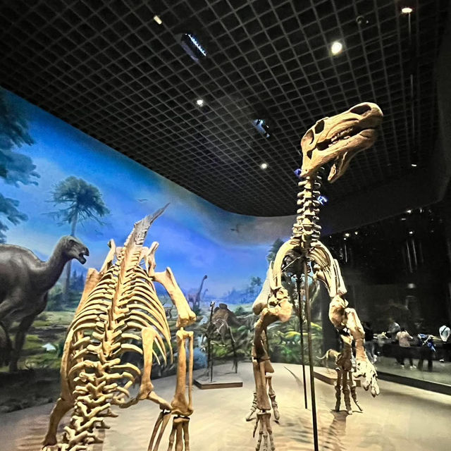 📍Inner Mongolia Museum – What to Know for Your First Visit!