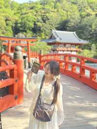 วัดดารุมะ Katsuoji temple