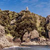 Irozaki Sightseeing Boat: A Solo Adventure Along Shizuoka’s Dramatic Coastline"** 🌊⛵  
