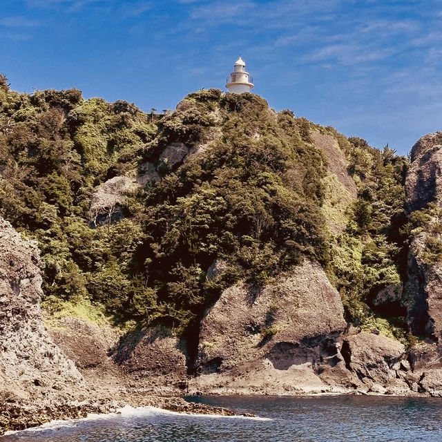 Irozaki Sightseeing Boat: A Solo Adventure Along Shizuoka’s Dramatic Coastline"** 🌊⛵  