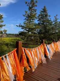 To the Edge of Serenity: Exploring Qinghai Lake