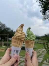 英西峰林夏日采茶 trip ~Tea Lover 