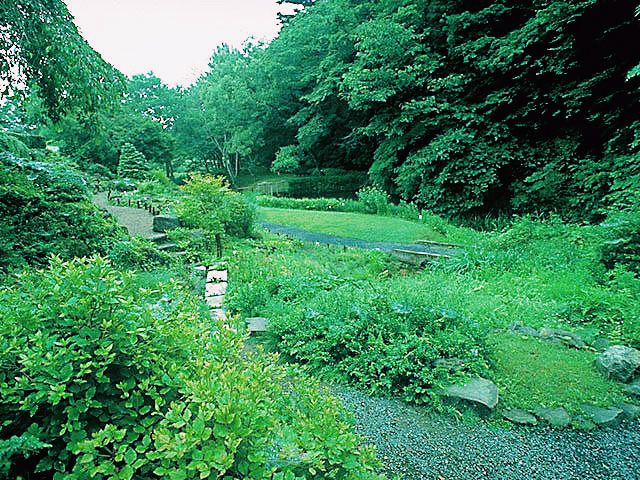 仙台🇯🇵東北大學植物園