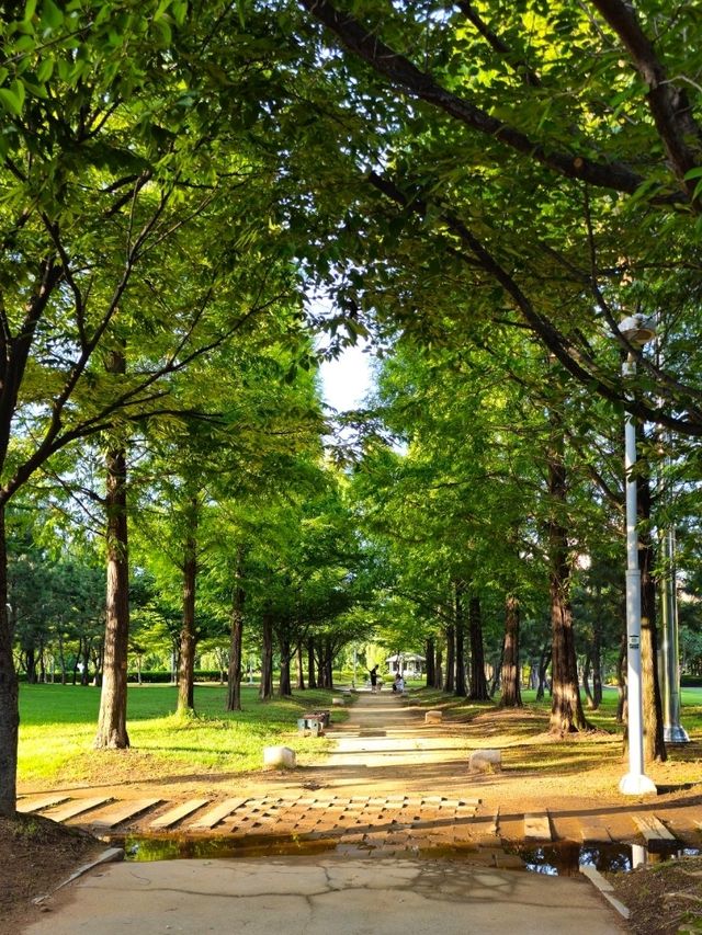송도 이쁜 명소